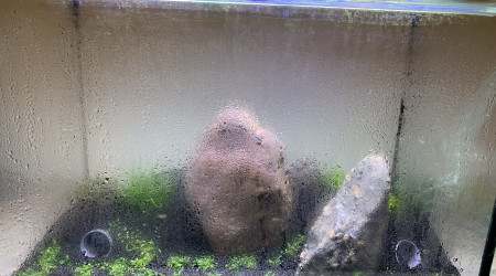 Ça condense toujours...