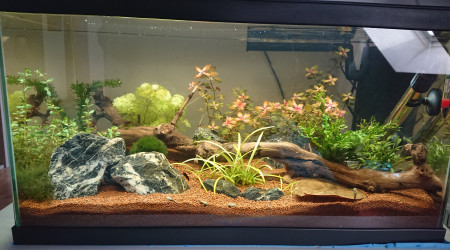 Ciano Aquarium 60 LED