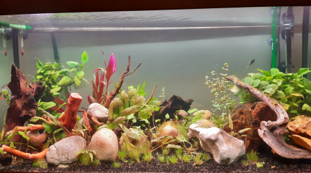 aquarium Aqua2-200