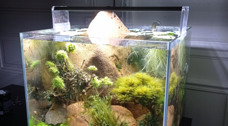 Nano Esterel, réduction tech