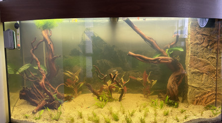 aquarium Juwel vision