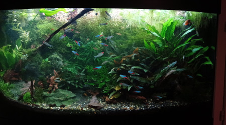 Welcome to the jungle :)