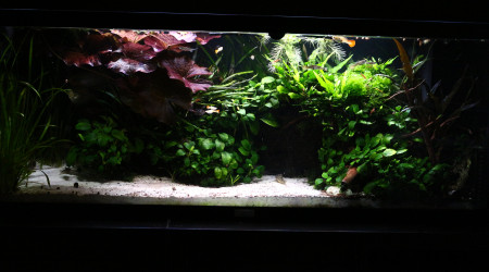 Après 2 semaines de test