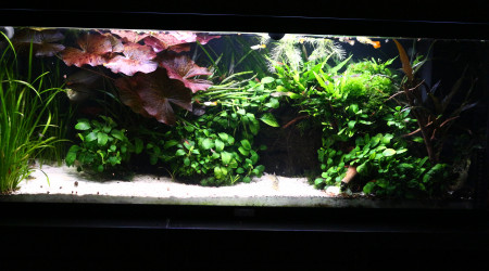 Après 2 semaines de test