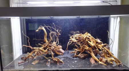 Installation du hardscape