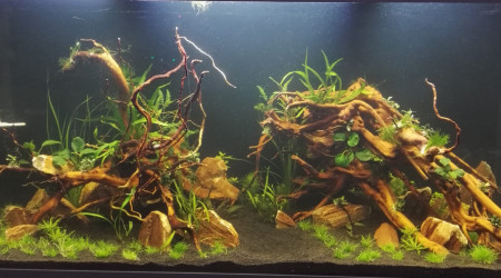 Quelques jours après la mise en eau