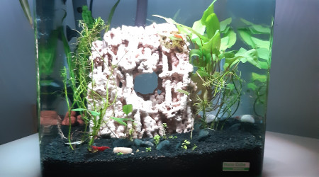 aquarium Aqua30L