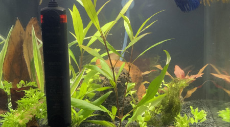 aquarium Bêta 30 litre