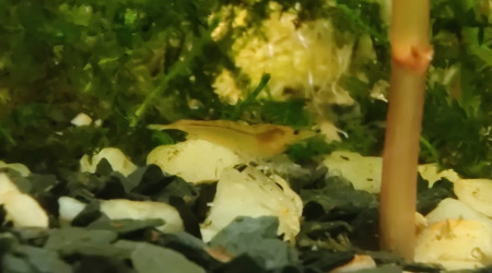 Première naissance ❤️