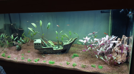 aquarium Juwel 180l