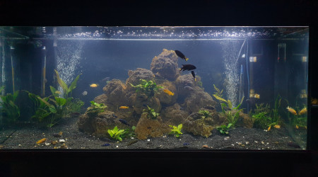 aquarium Principal 450L