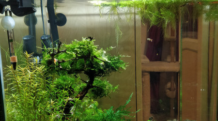 6 mois du nano (profil)