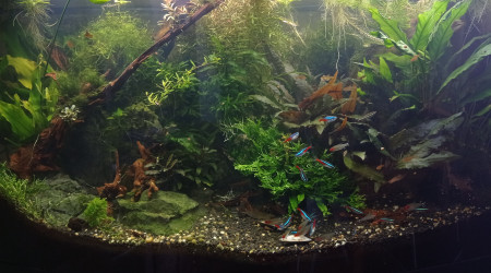 Après grosse séance jardinage...