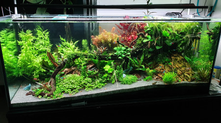 Nouvelles rampes led