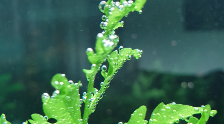 Nouvelles rampes led