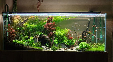 aquarium 1m50
