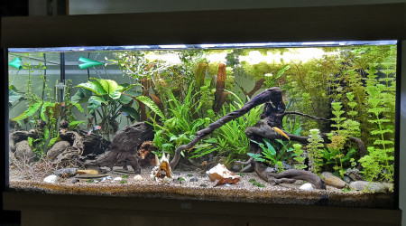 aquarium Juwel Rio 180l