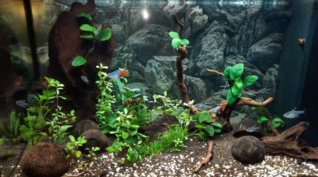 aquarium RIO 125