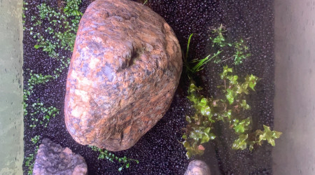 Tout se passe bien. Slowly but steady