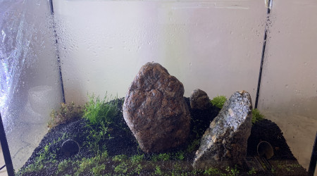 Après 1 semaine laisse seul. DSM a bien apprécié la vaporisation. A suivre pour une semaine de plus tout seul.