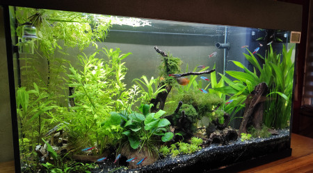 aquarium Juwel Rio 125