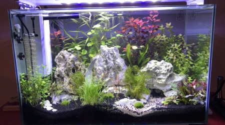 aquarium Home110