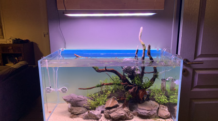 Une semaine, ça pousse !