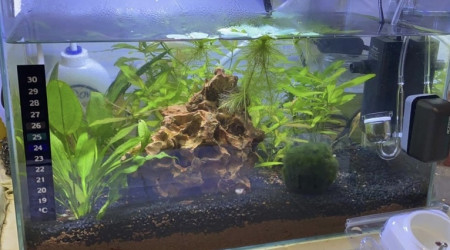 aquarium Nano 20 litres