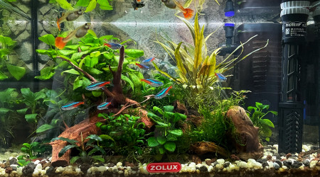 aquarium ZOLUX NANOLIFE 18L