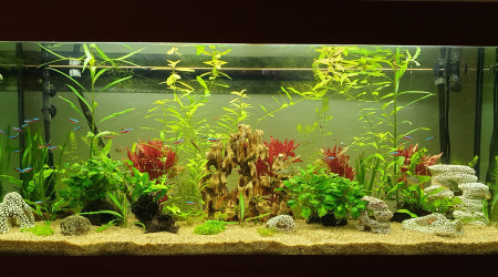 aquarium Juwel300l