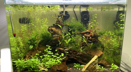 aquarium First Nano Aquarium