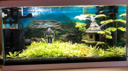 aquarium Aquarium 60L