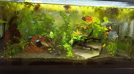 Lowtech 90 l