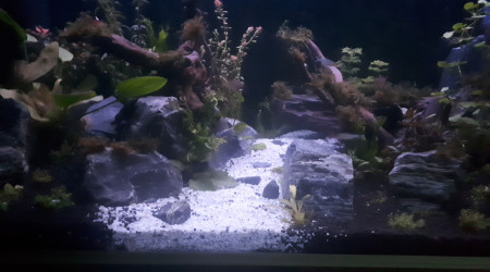 aquarium Mon 360