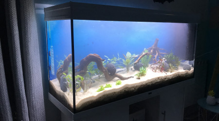 aquarium Mat