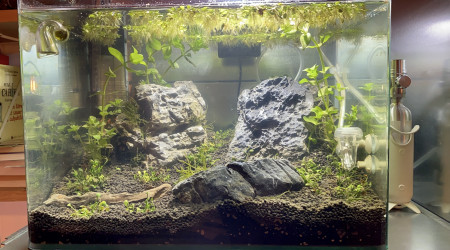 aquarium Dennerle 35L