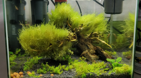 aquarium Nano 15L