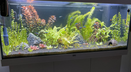 aquarium Juwel Rio 180L