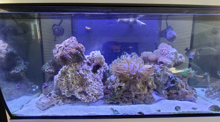 aquarium V3