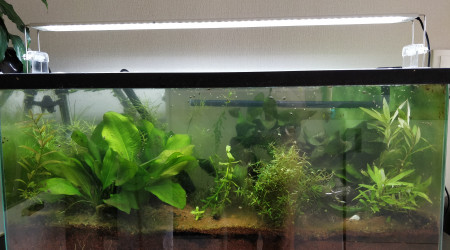 Jour du déménagement, avant travaux