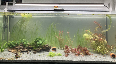 Lancement du 300L hier soir..