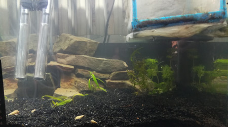 Changement de décor