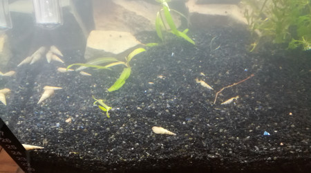 Changement de décor