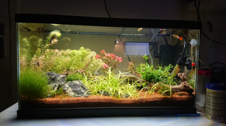 Ciano Aquarium 60 LED