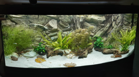 aquarium JUWEL VISION 450