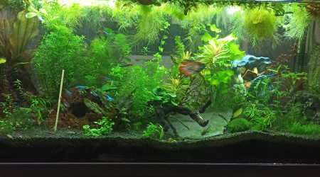 Low-tech 90 l