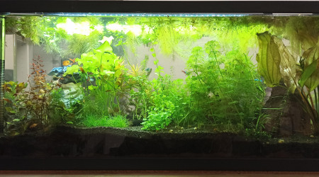 Low-tech 90 l