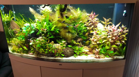 aquarium Chris