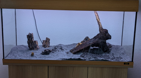 Montage du Hardscape