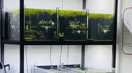 aquarium Batterie 54L